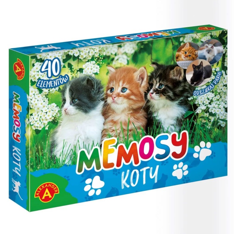 PAMIĘĆ - MEMOSY - KOTY !, Domino i memos, Gry
