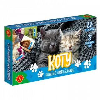 DOMINO OBRAZKOWE - KOTY !, Domino i memos, Gry