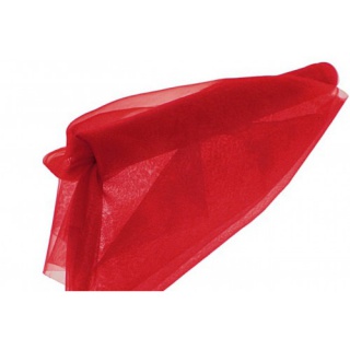 ORGANZA NIEOBSZYWANA MIĘKKA 40CM/8,1MB CZERWONA, Podkategoria, Kategoria