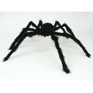 PAJĄK; 200, Podkategoria, Kategoria