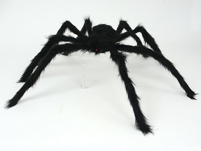 PAJĄK; 200, Podkategoria, Kategoria