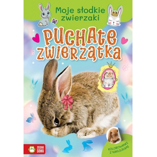 MOJE SŁODKIE ZWIERZAKI. PUCHATE ZWIERZATKA, Kolorowanki, Książeczki