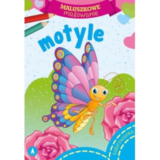 MALUSZKOWE MALOWANIE MOTYLE, Podkategoria, Kategoria