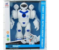ROBOT NA BATERIE W PUDEŁKU 5742, Podkategoria, Kategoria