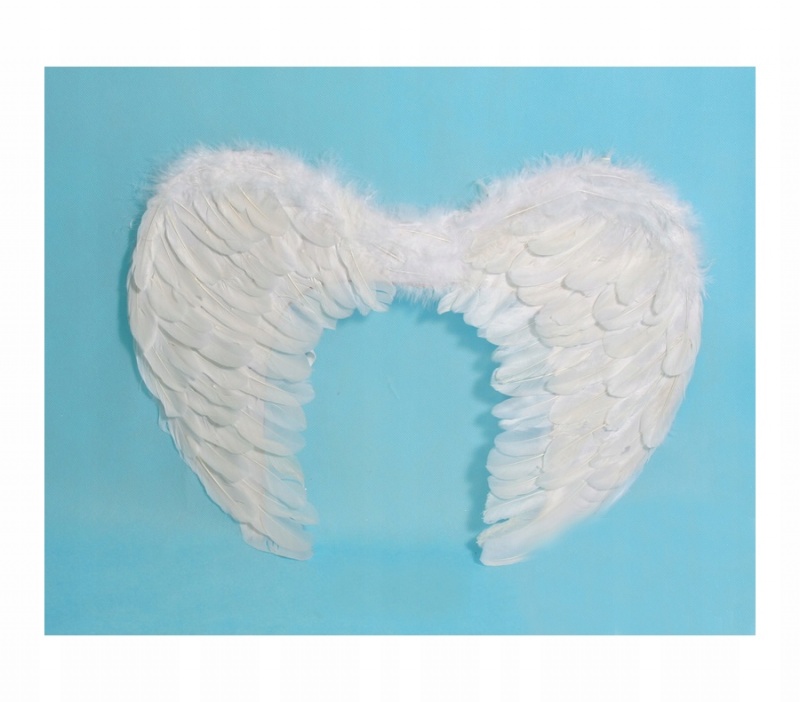 SKRZYDŁA D31553 4413, Kostiumy i dodatki, Art. na okazje i przyjęcia