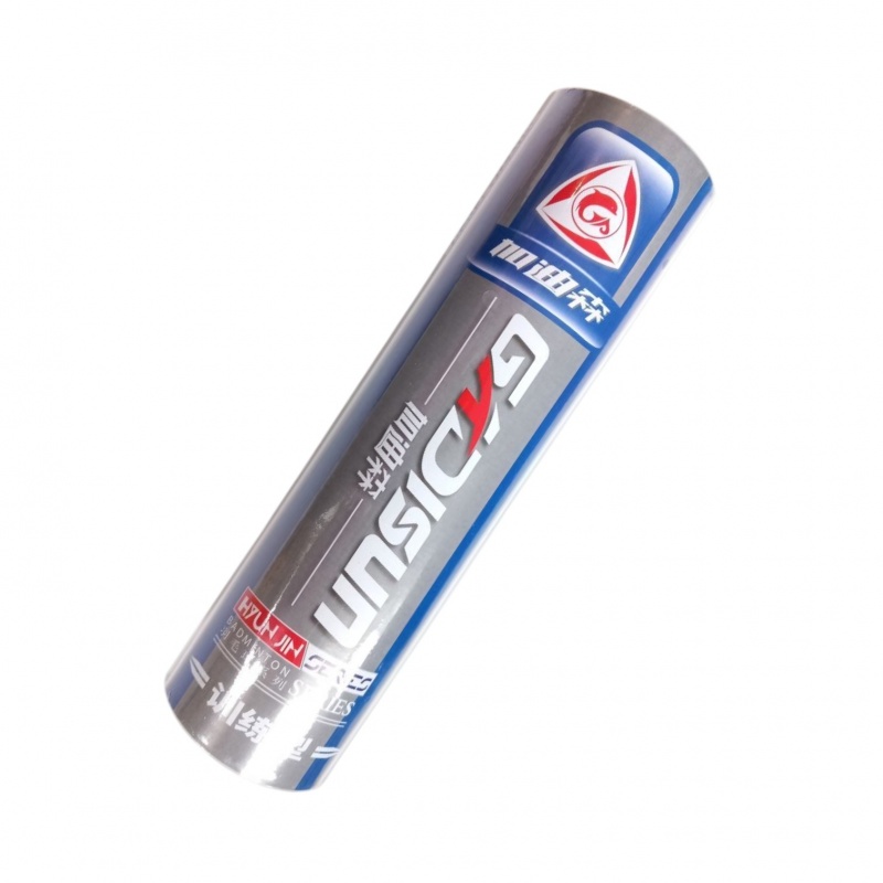 LOTKI DO BADMINTONA 6szt LK29-6, Sport i rekreacja, Zabawki