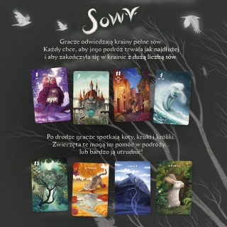GRA SOWY 2631, Karty, Gry