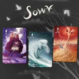 GRA SOWY 2631, Karty, Gry