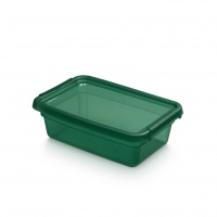 Storage container MOXOM BaseStore Color, 3l, pine, transparent green, Boxes, Office equipment