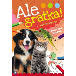 ALE GRATKA! ZWIERZĘTA DOMOWE, Kolorowanki, Książeczki