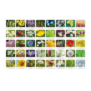 FLORA POLSKI - Adamigo memory!, Edukacyjne, Gry