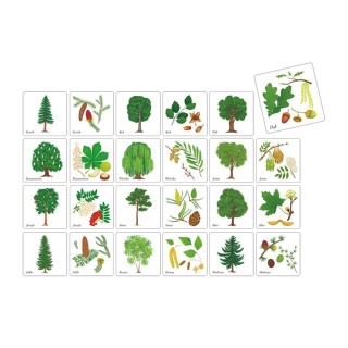DRZEWA POLSKI - Adamigo memory!, Edukacyjne, Gry