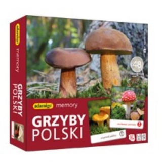 GRZYBY POLSKI - adamigo memory!, Edukacyjne, Gry