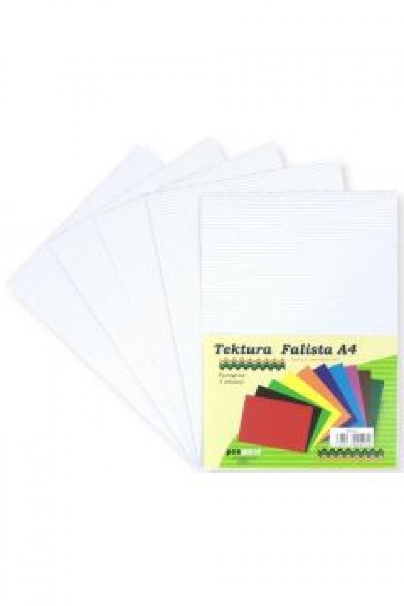 TEKTURA FALISTA A4 BIAŁA /5/, Brystole, kartony, Papier