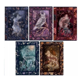 ZESZYT TOP FAIRYTALE A5 32K.LINIA /10/, Zeszyty i bloki