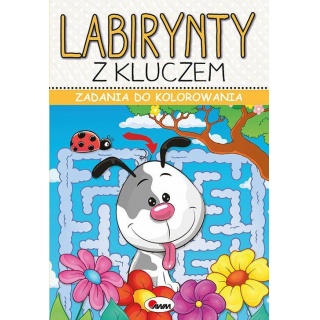 ZADANIA DO KOLOROWANIA LABIRYNTY Z KLUCZEM, Kolorowanki, Książeczki