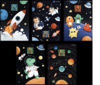 ZESZYT TOP SPACE A5 16K.LINIA PODW.KOLOR./20/, Zeszyty, Zeszyty i bloki