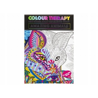COLOR THERAPY A4 ZWIERZĘTA 4065, Kolorowanki, Książeczki