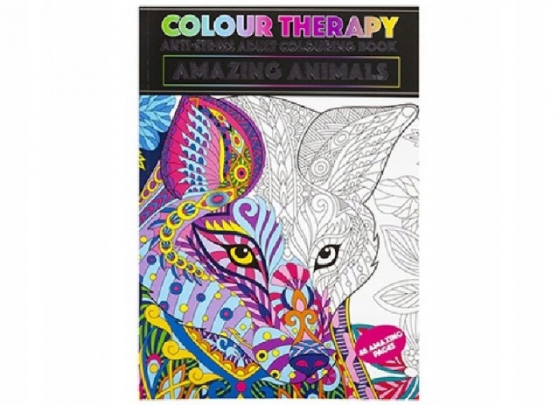COLOR THERAPY A4 ZWIERZĘTA 4065, Kolorowanki, Książeczki