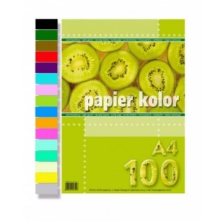 PAPIER A4 /100/ J.NIEBIESKI, Papier ksero kolorowy, Papier