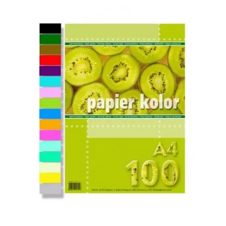 PAPIER A4 /100/ POMARAŃCZOWY, Papier ksero kolorowy, Papier