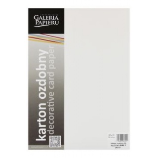KARTON OZD. A4 240g PŁÓTNO BIAŁY 20ark, Brystole, kartony, Papier