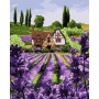 Paint by numbers IDEYKA, 40x50 cm, lavender house, 1 pc, in a box