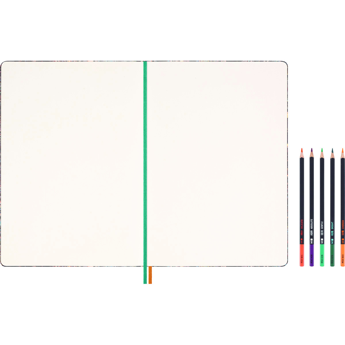 Set MOLESKINE Year of the Dragon Zeng Fanzhi 2024, sketchbook +