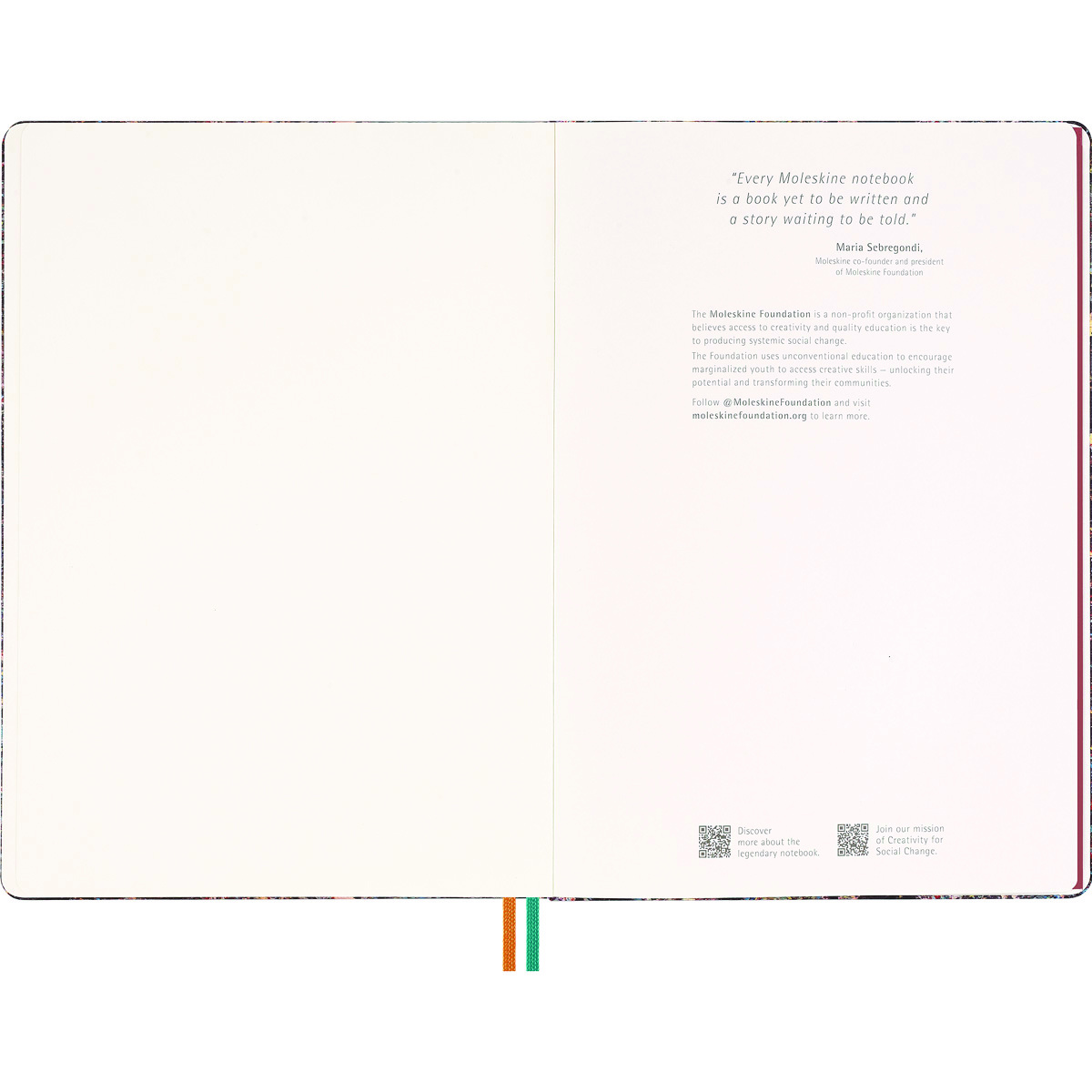 Set MOLESKINE Year of the Dragon Zeng Fanzhi 2024, sketchbook +
