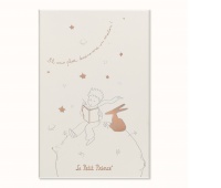 Set MOLESKINE Pro Le Petit Prince, ruled notebook + undated planner L, limited edition, in box