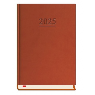 TERMINARZ MENADŻERA A5 DZIENNY 2025, Dzienne, Kalendarze
