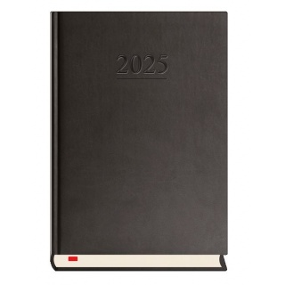 TERMINARZ MENADŻERA A5 DZIENNY 2025, Dzienne, Kalendarze