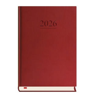 TERMINARZ MENADŻERA A5 DZIENNY 2026, Dzienne, Kalendarze