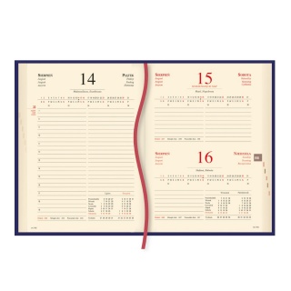 TERMINARZ MENADŻERA A5 DZIENNY 2026, Dzienne, Kalendarze