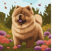 Paint by numbers IDEYKA, 40x40 cm, adorable chow chow, 1 pc.