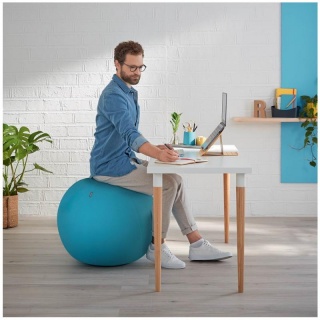 Leitz Ergo Cosy Piłka do siedzenia niebieska, Ergonomia, Wyposażenie biura