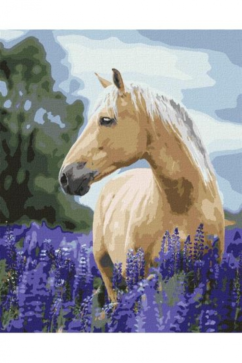 ZESTAW DO MAL. PO NUM. SPACER PO LAWEND POLU 40X50, Zestawy kreatywne, Art. kreatywne