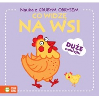 NAUKA Z GRUBYM OBRYSEM CO WIDZĘ NA WSI ?, Edukacyjne, Książeczki