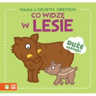 NAUKA Z GRUBYM OBRYSEM CO WIDZĘ W LESIE ?, Edukacyjne, Książeczki