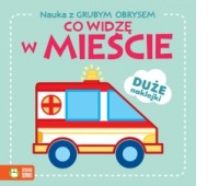 NAUKA Z GRUBYM OBRYSEM CO WIDZĘ W MIEŚCIE ?, Edukacyjne, Książeczki