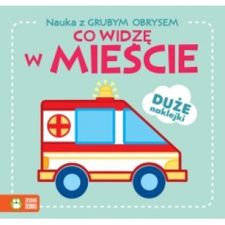 NAUKA Z GRUBYM OBRYSEM CO WIDZĘ W MIEŚCIE ?, Edukacyjne, Książeczki