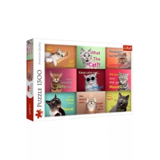 Puzzle 1500 - Zabawne kocie portrety !!, 1500 elementów, Puzzle
