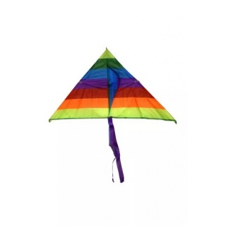 LATAWIEC KOLOR 68 CM HD224-13, Zabawki