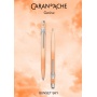 Pen set 849 and pencil 844 CARAN D'ACHE Sunset Sky, in case, orange