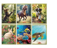 ZESZYT CRAZY ANIMALS A5 16K.KRATKA, Zeszyty, Zeszyty i bloki