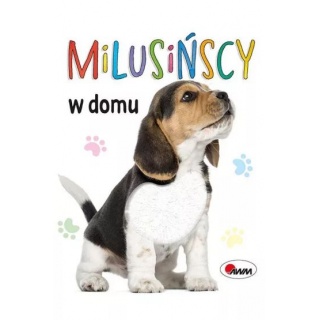 MILUSIŃSCY W DOMU, Do czytania, Książeczki