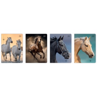 ZESZYT A5 16K.KRATKA UV Wild Horses /20/, Zeszyty, Zeszyty i bloki