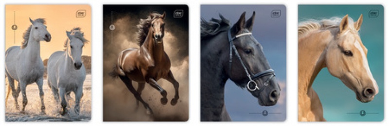 ZESZYT A5 16K.KRATKA UV Wild Horses /20/, Zeszyty, Zeszyty i bloki