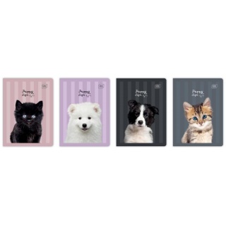 ZESZYT A5 32K.TRZY LINIE KOLOR.UV PUPPY SIGN /10/, Zeszyty, Zeszyty i bloki