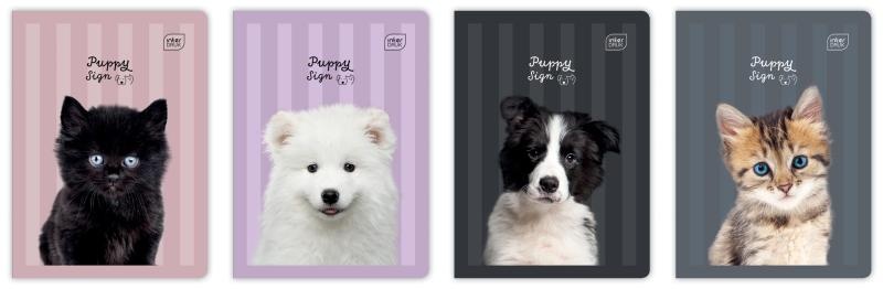 ZESZYT A5 32K.TRZY LINIE KOLOR.UV PUPPY SIGN /10/, Zeszyty, Zeszyty i bloki